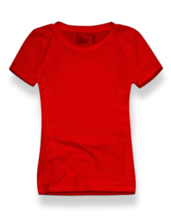  Женская футболка Hanes <span class='sku'>H2900</span> Top-T