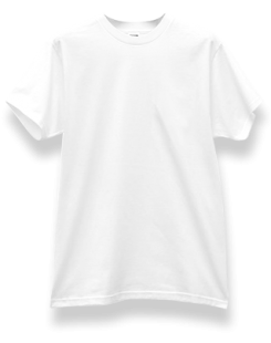 Мужская футболка <span class='sku'>6000</span> PRIME